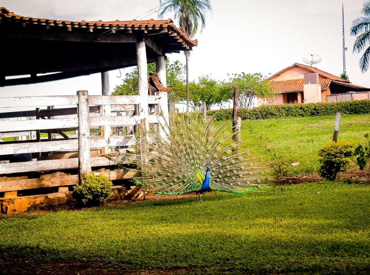 Pousada Casco De Ouro Miguelopolis Eksteriør bilde